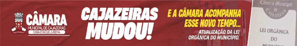 Lei Orgânica