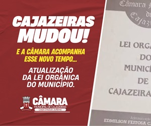 Lei Orgânica 02